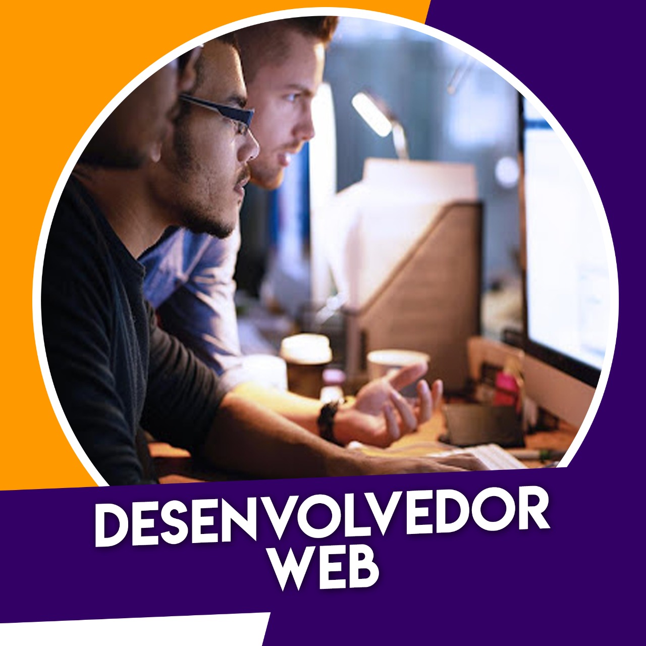 DESENVOLVEDOR WEB