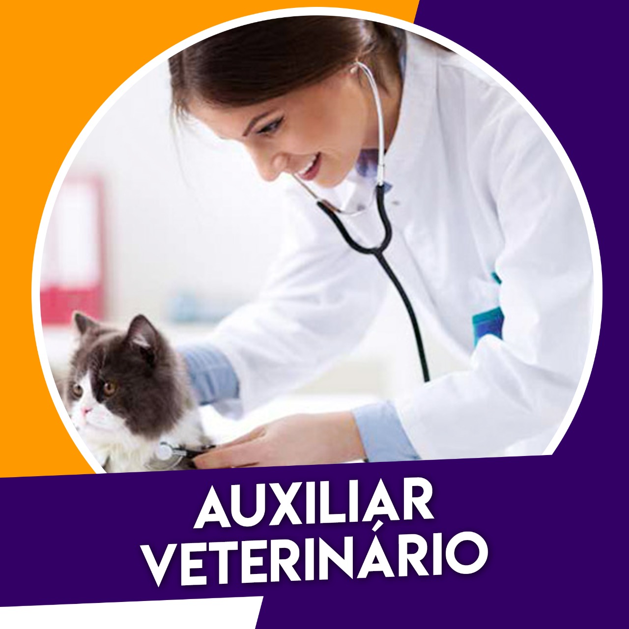 AUXILIAR DE ESCRITÓRIO